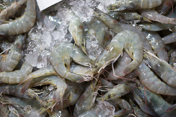 .Sea prawn seafood raw material