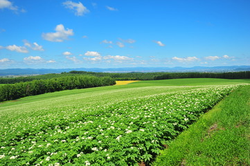 Landscapes of Countryside in Hokkaido, Japan