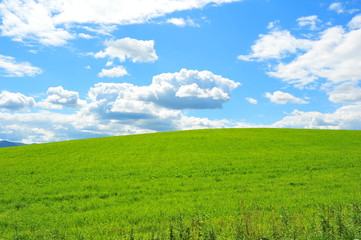 Obraz premium Landscapes of Countryside in Hokkaido, Japan