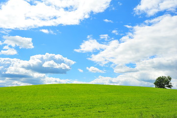 Fototapeta na wymiar Landscapes of Countryside in Hokkaido, Japan