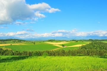 Cultivated Lands at Countryside of Hokkaido, Japan