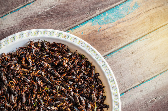 Fried Crickets On A Wooden