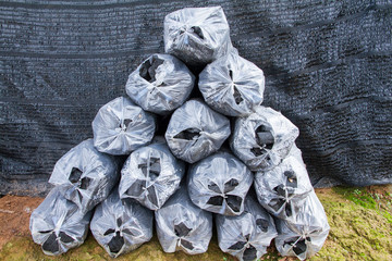 Bags of charcoal