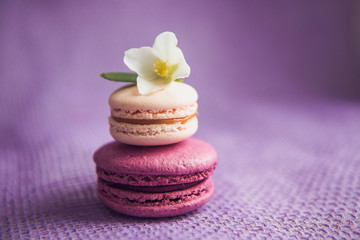 French macarons with white flowers