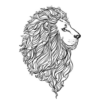Hand drawn vector illustration of doodle lion. sketch. Vector eps 8