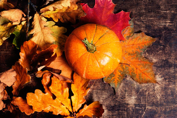 Autumn Fall background with pumpkins and  golden  leaves on rust