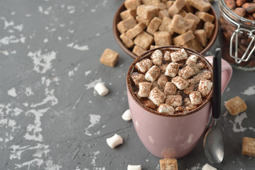 Delicious hot chocolate with marshmallow