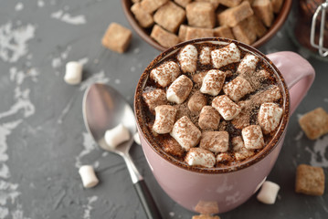 Delicious hot chocolate with marshmallow