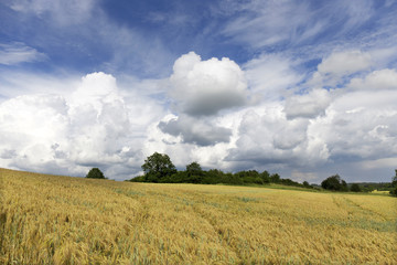 Fototapeta na wymiar Storm country Landscape in south Czech