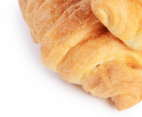 The fresh rolls isolated on white