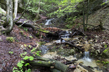 Little Fatra, the beautiful Mountains  in Slovakia