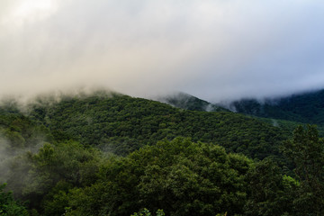 An evening drive through the Blue Ridge Mountains