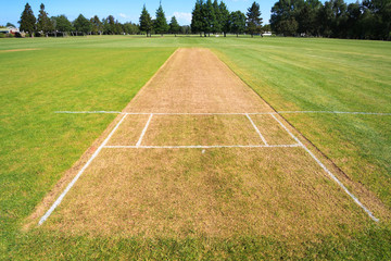 Cricket pitch field background