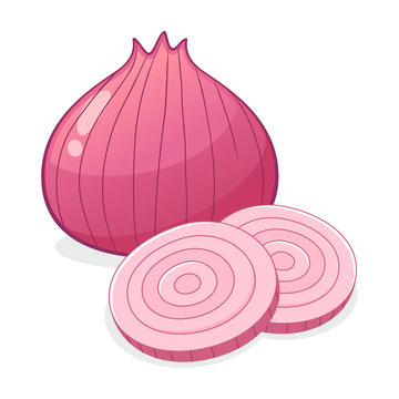 Premium Vector  Illustrator of shallots