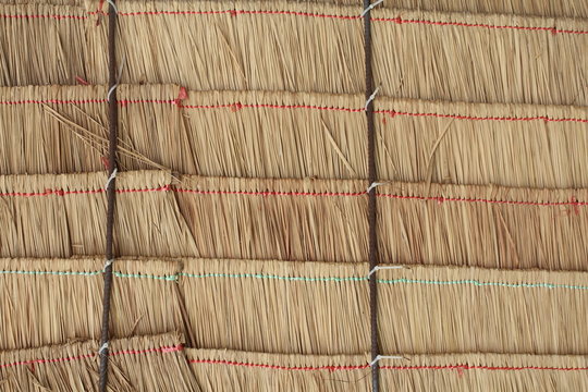 Texture of hay stack roof and bamboo in Thailand. closeup Useful as background for design-works. - Powered by Adobe