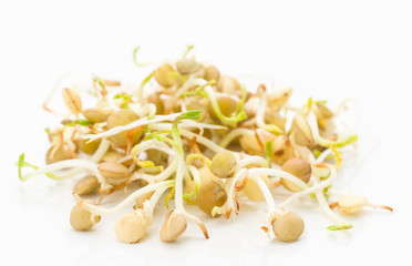 Lentil sprouts isolated on white