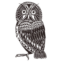 Owl doodle art