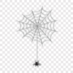 Realistic spider on web, vector illustration. Halloween elements, details. Scary natural vector spider hanging, silhouette.