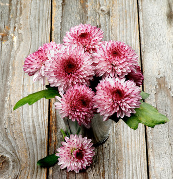 Bunch of Pink and Red Chrysanthemum