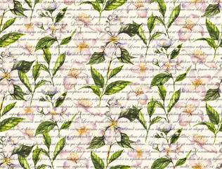 Hand-drawn watercolor seamless pattern with jasmine flowers and tea leaves on the white background. Repeated print