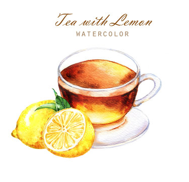 Hand-drawn watercolor illustration of the tea. Cup of the lemon tea, lemon sliced fruits and leaves isolated on the white background.