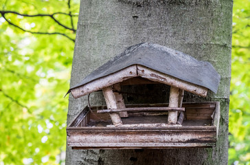 wooden birdhouse
