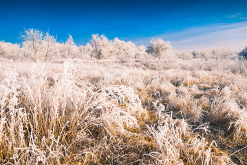 Fototapeta premium Hoar frost valley_1