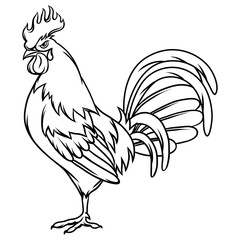 Fototapeta na wymiar Hand drawn illustration of black rooster on white background