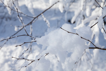 snow landscape