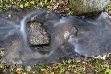Stream in autumn park