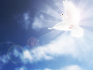 Dove in the Sky Funeral Image