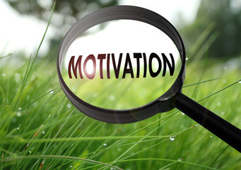 motivation