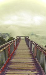 Ethereal wooden walkway bridge leading into low cloud above mountains. Dramatic, moody tone. Dorrigo National Park, New South Wales, Australia
