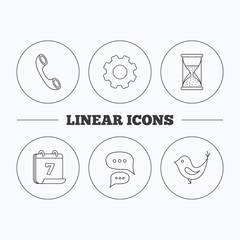 Chat, bird and phone call icons.