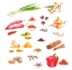 Watercolor hand drawn illustration with different spices - 121338793