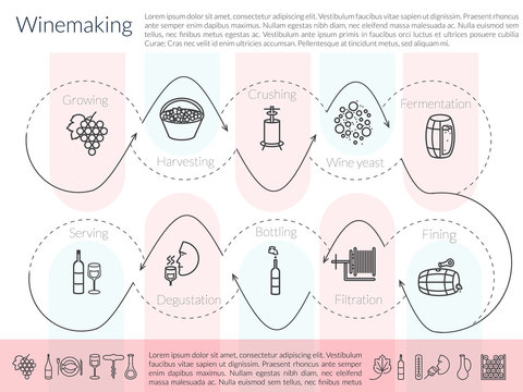 line winemaking infographic
