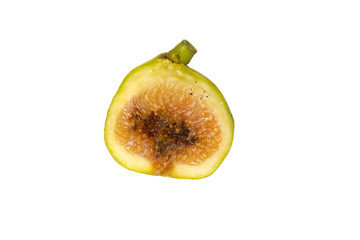 Rotten fig on a white