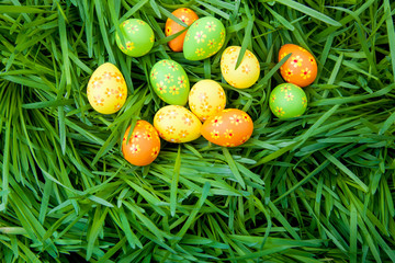 Easter eggs on the grass