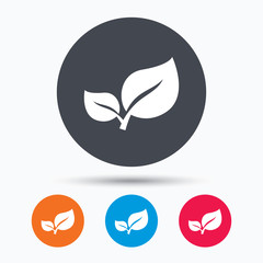 Leaf icon. Fresh organic product sign.