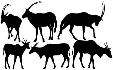 antelopes black  silhouettes vector design set