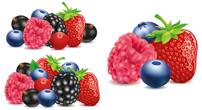 group of strawberry, blueberry, raspberry, blackberry