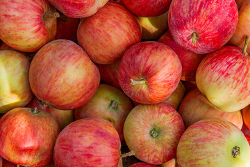 Close up of the red ripe apples as background.