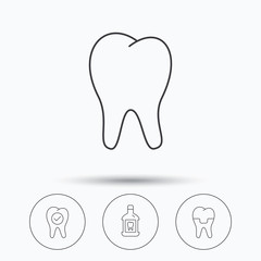 Tooth, dental crown and mouthwash icons.