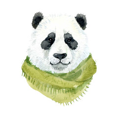 Naklejka premium Panda bear wearing a scarf