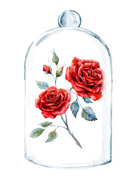 Rose In A Glass Case