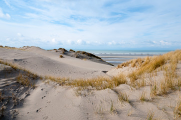 dune in baie de somme, france