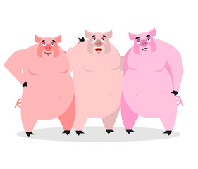 3 pigs. Three piglets. Funny farm animals. Good character from f
