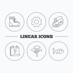 Pine tree, fish and hiking boots icons.
