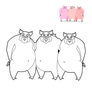 3 pig coloring book. Three Little Pigs in  linear style. Funny f