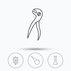 Beaker, blood and dental pliers icons.